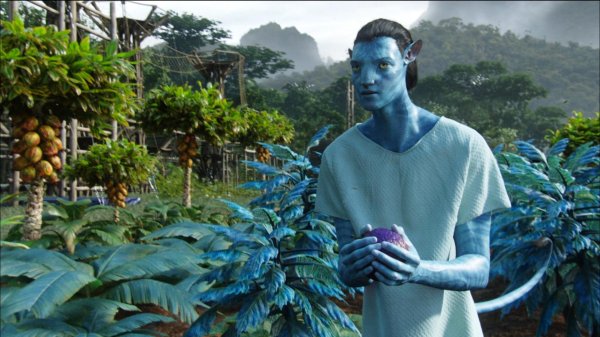 джейк салли