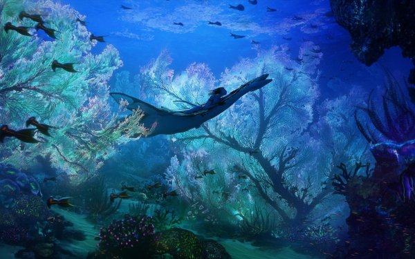 подводный мир