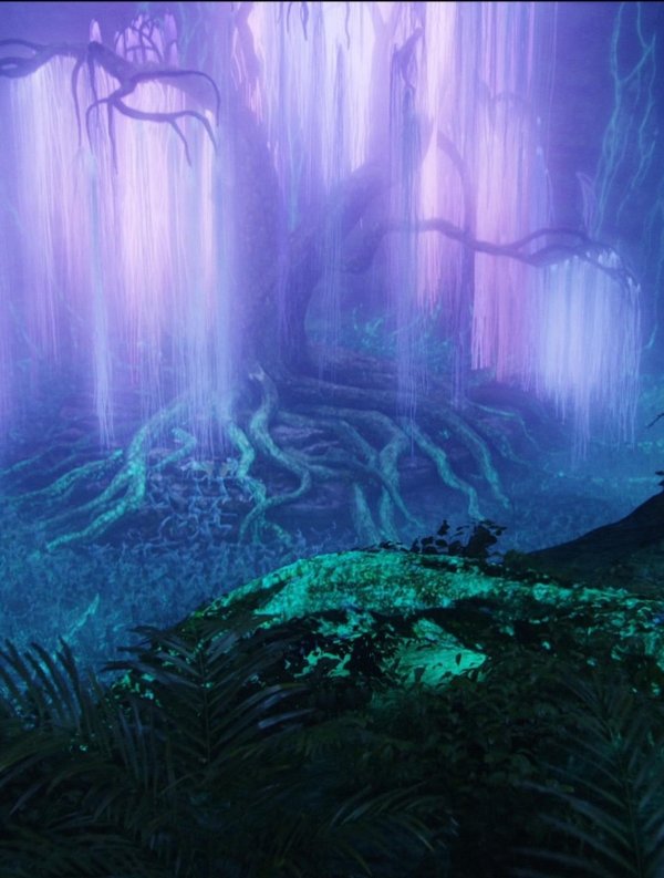 дерево эйва из аватара