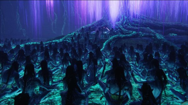 эйва из аватара