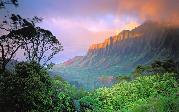 kauai hawaii