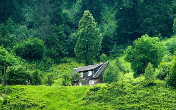 национальный парк шварцвальд германия