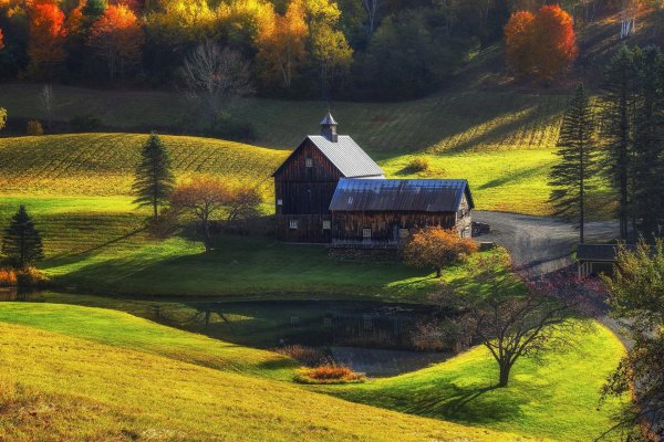 сельская местность