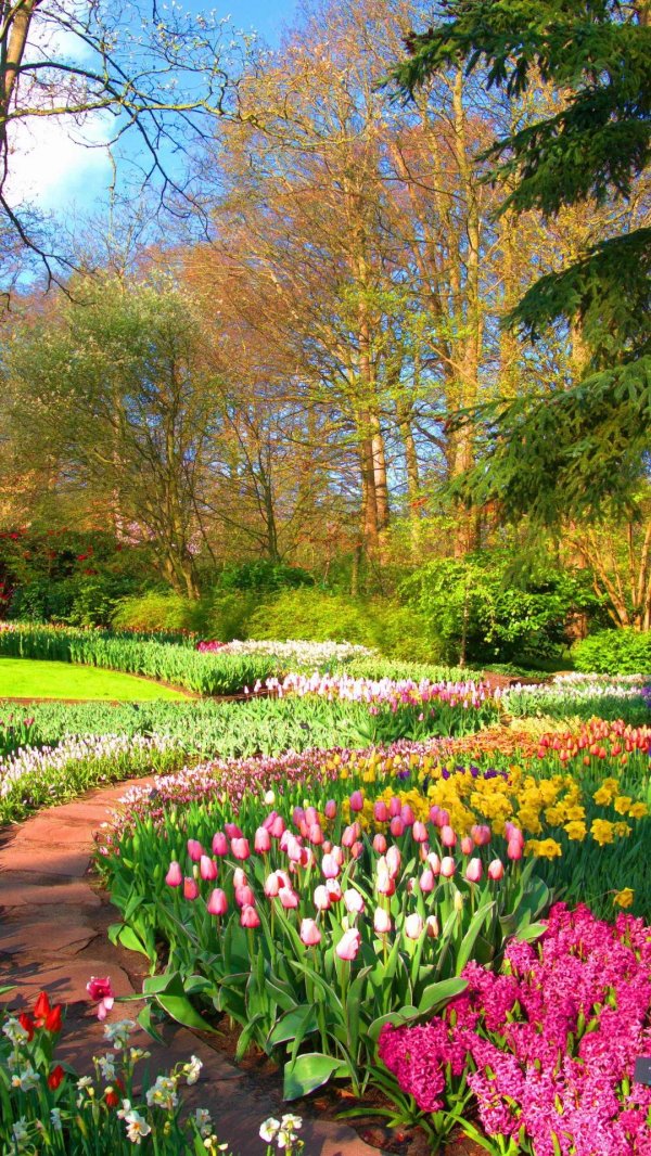 keukenhof gardens нидерланды