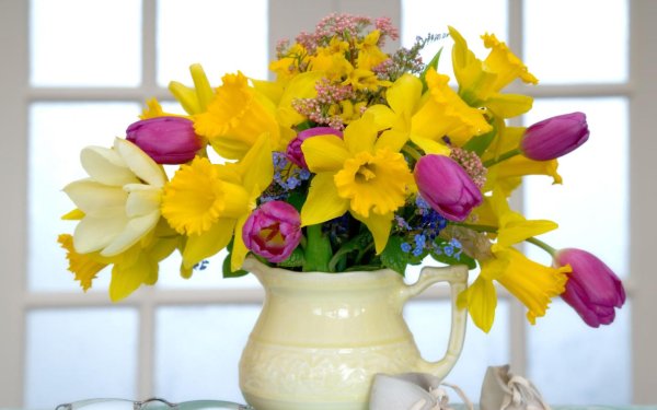 тюльпаны мимоза