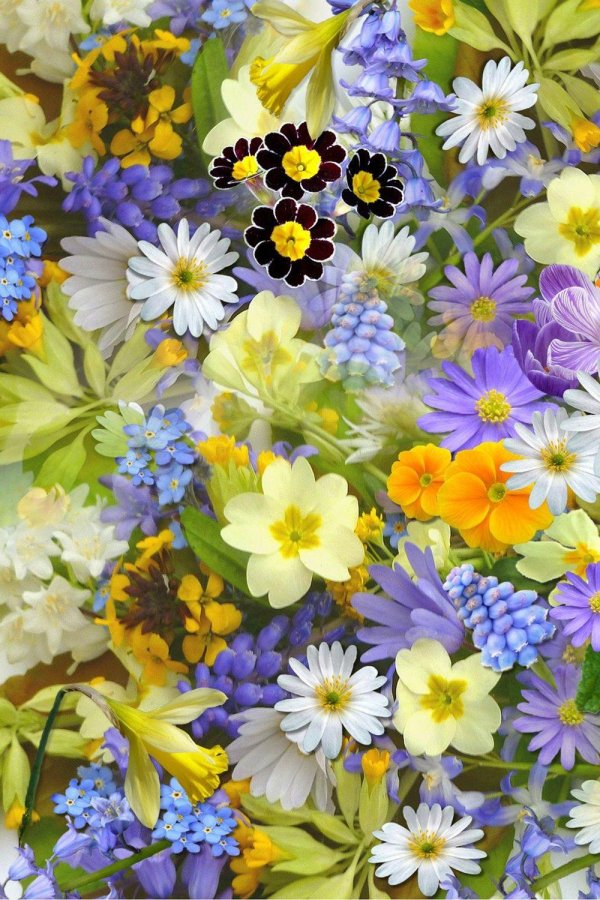 цветочные фоны