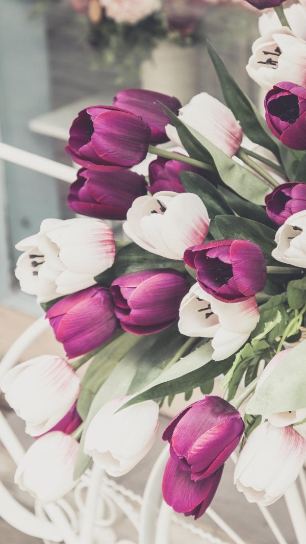 фиолетовые тюльпаны