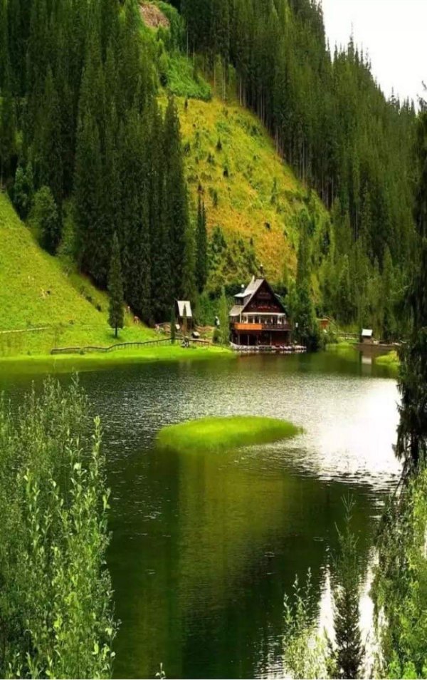 швеция озеро лес луг домик горы