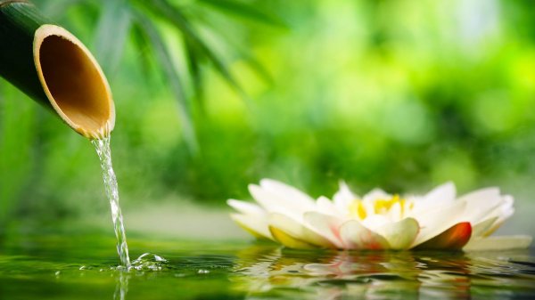 бамбуковый фонтан