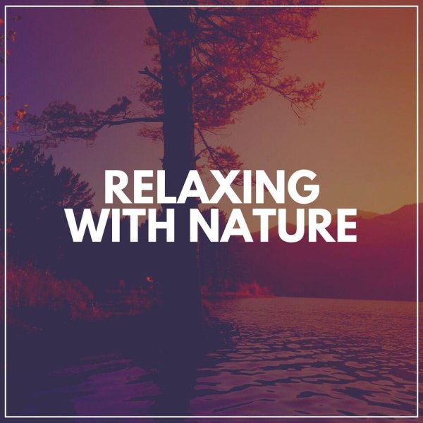 relaxing nature ambience
