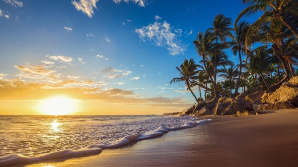 тропические пляжи