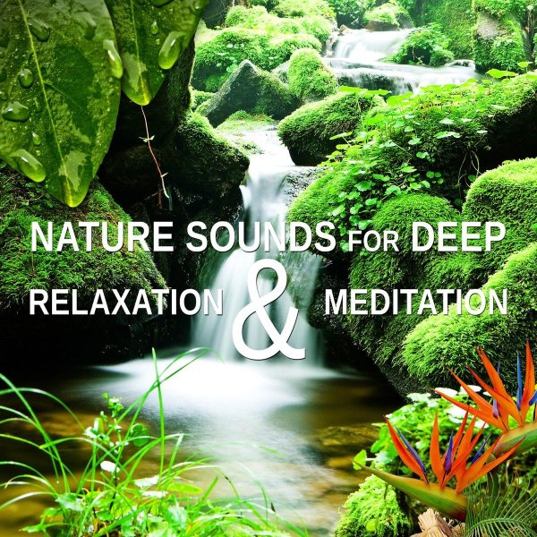 nature sounds for meditation