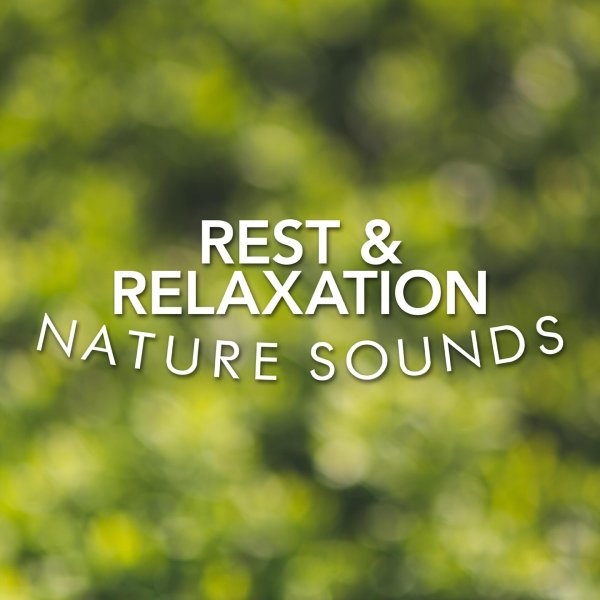 rest relax nature sound artists