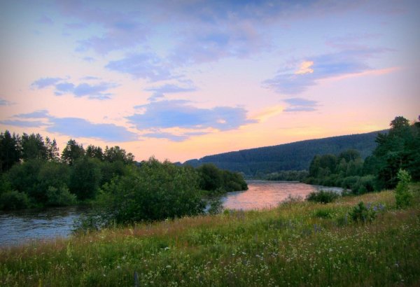 река илим иркутская область