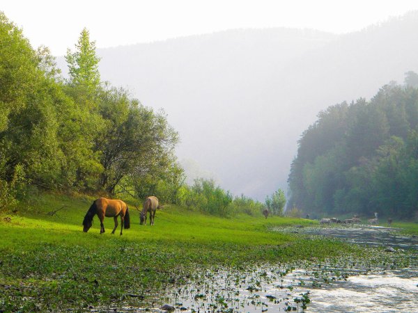 национальный парк башкирии