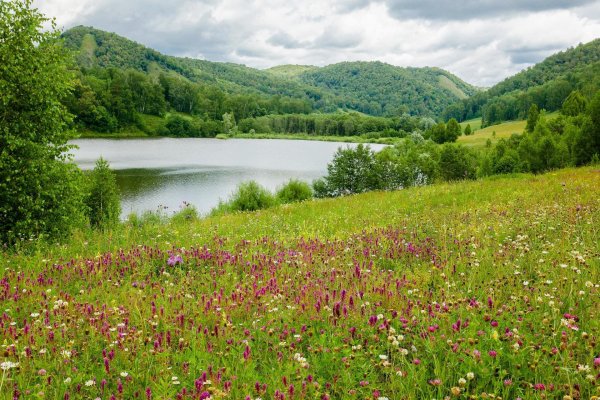 биосферный заповедник байкал