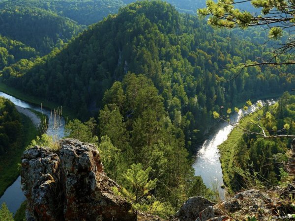 гора зверобой бердские скалы