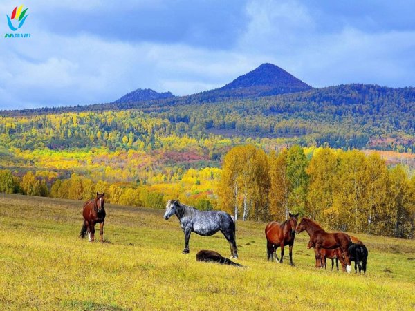 тигирекский государственный природный заповедник