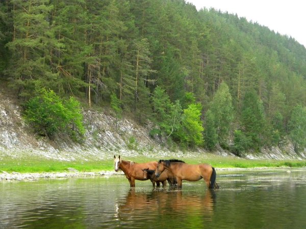 национальный парк башкирии