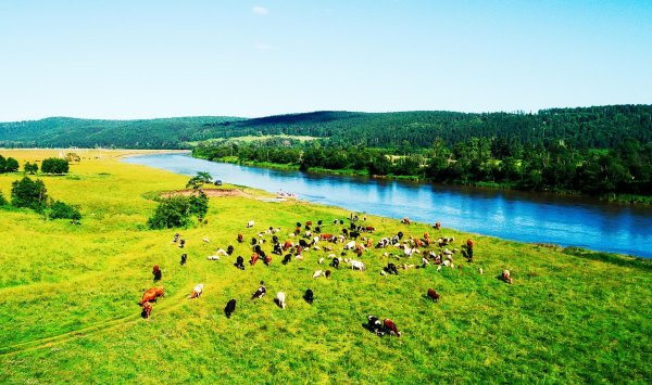 лето в башкирии