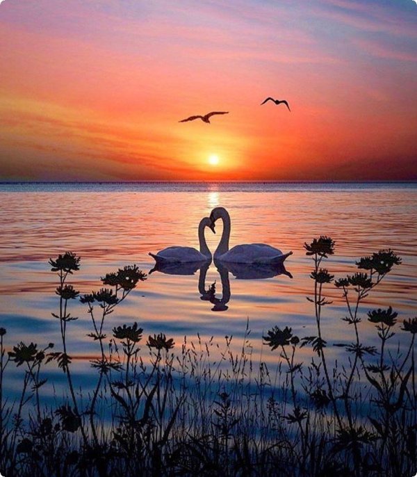 романтичный пейзаж