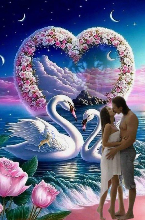 учитесь верности у лебедей