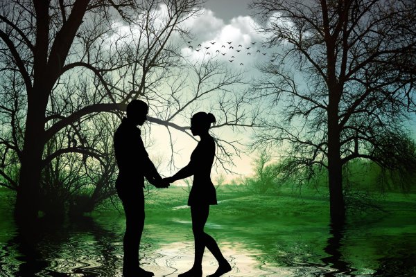 силуэты влюбленных