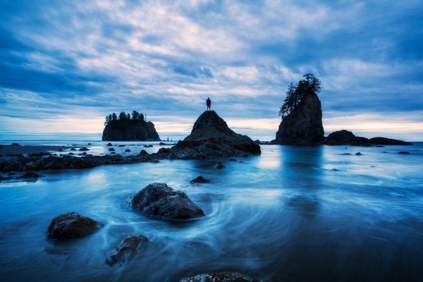 национальный парк олимпик штат вашингтон сша