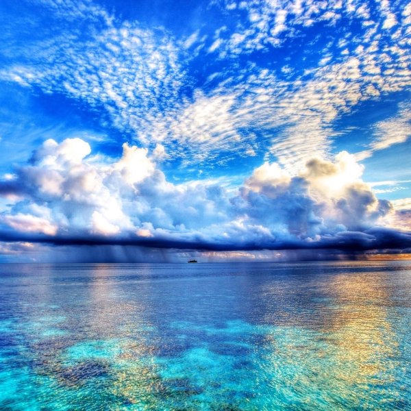 Океан природа