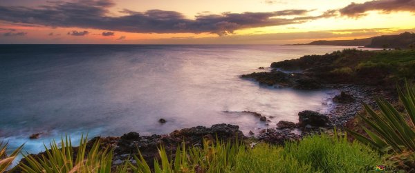 мауи гавайи