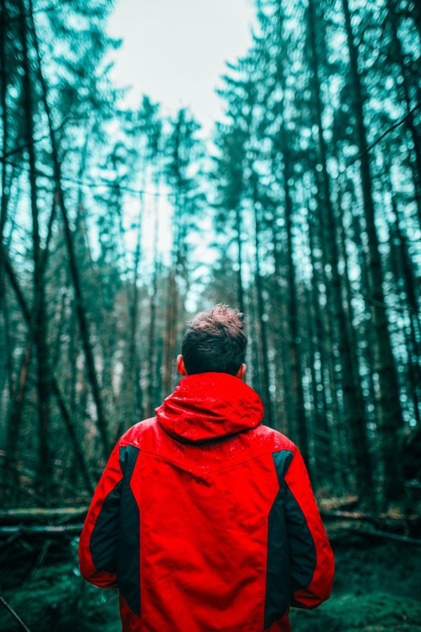 парень со спины