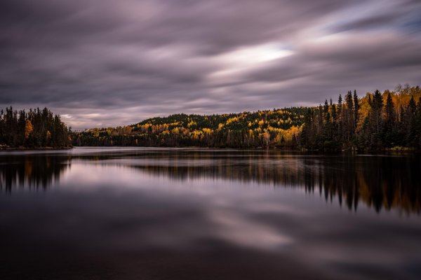 токсово озера осень