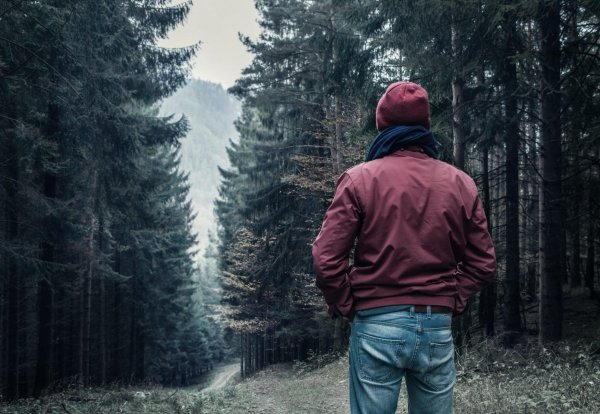 мрачный еловый лес