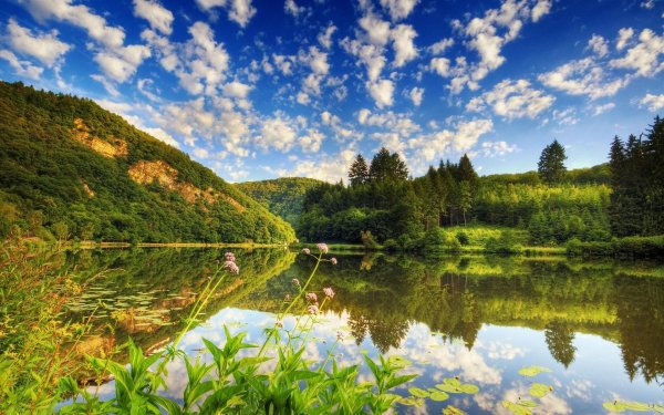 летние пейзажи