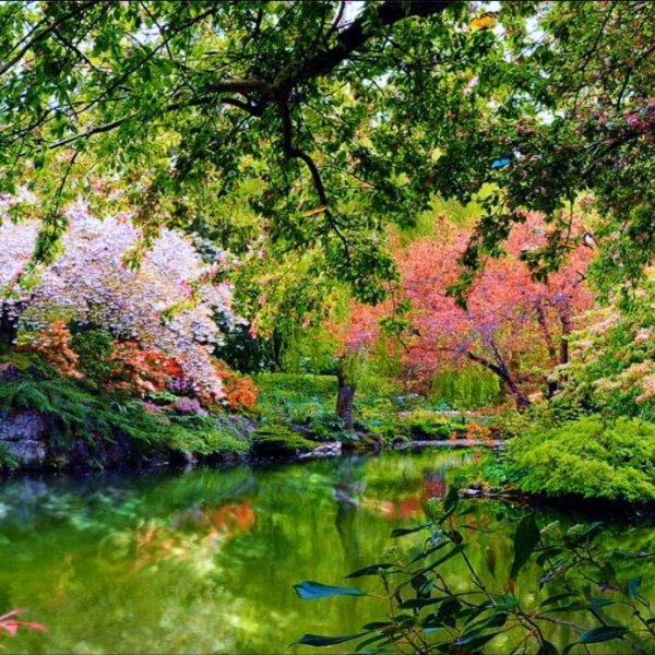 очень красивый сад