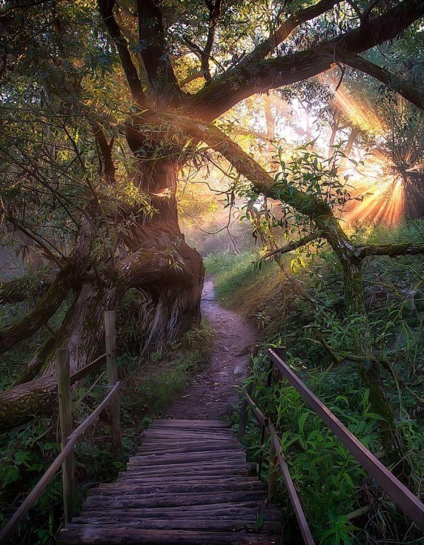 красивые загадочные места