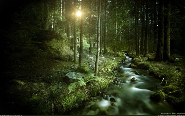 пейзажи природа