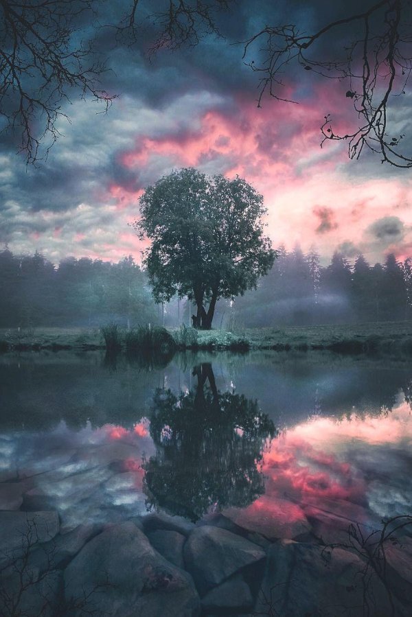 живописные пейзажи