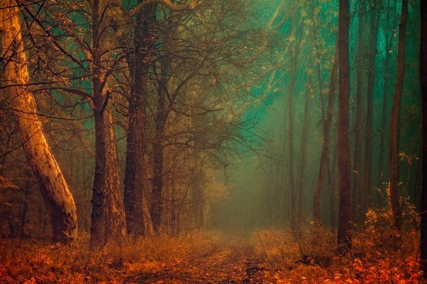 фотограф янек седлар janek sedlar