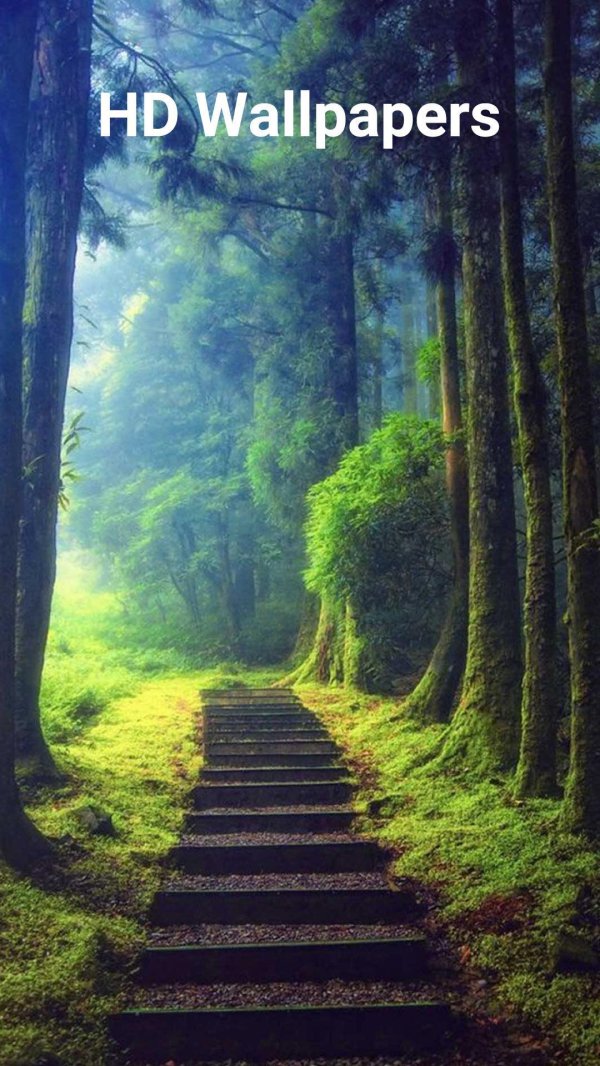 природная лестница