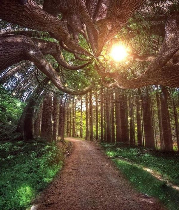 сказочное место