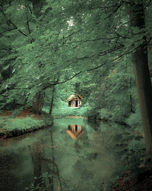 домик в лесу