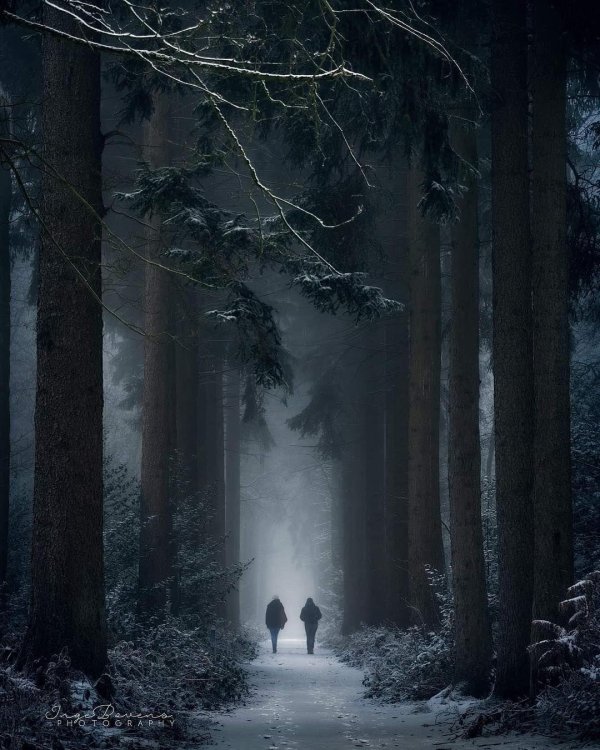 мрачные пейзажи