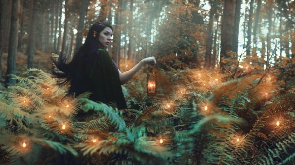 лесная ведьма