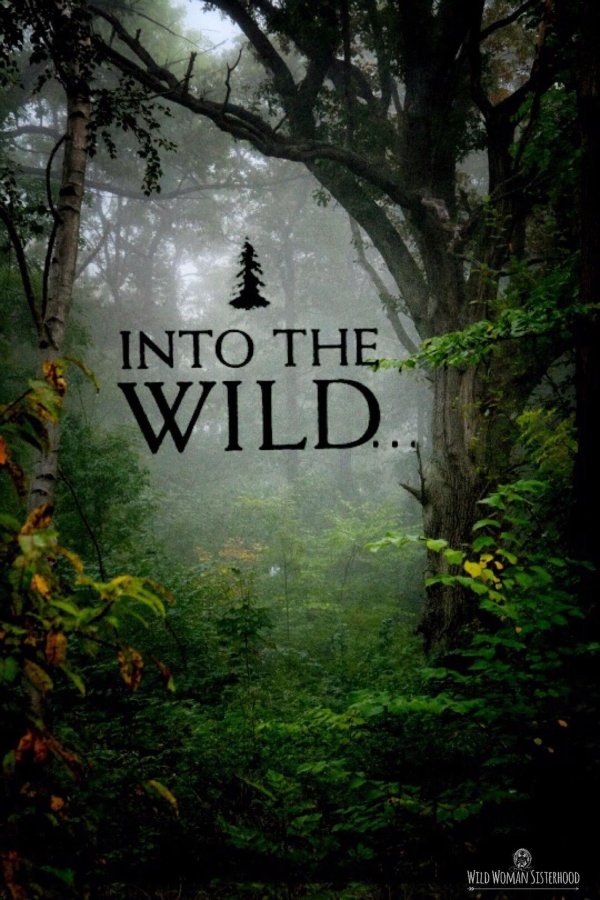 into the wild