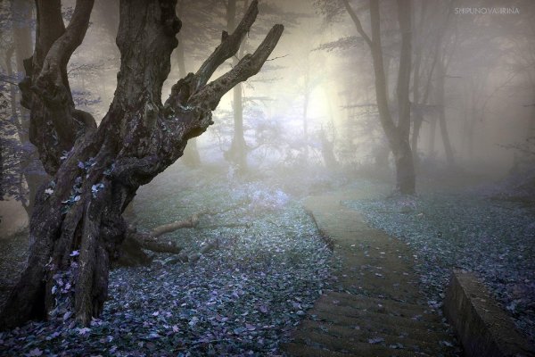 мистические пейзажи