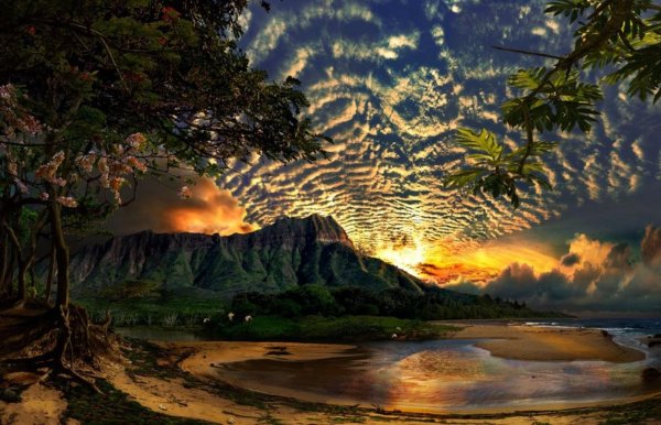 тропические пейзажи