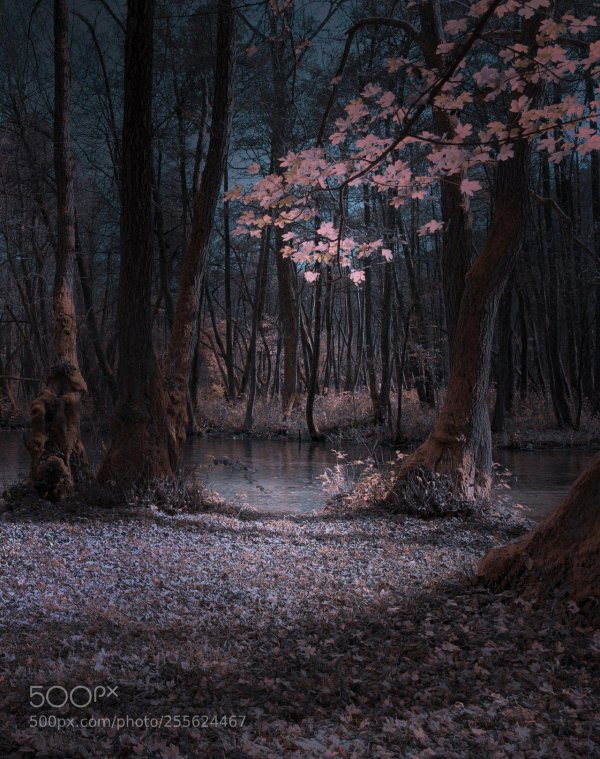 мистические пейзажи