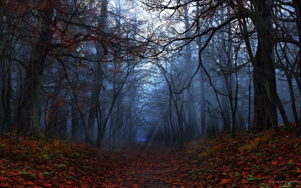 мрачная осень