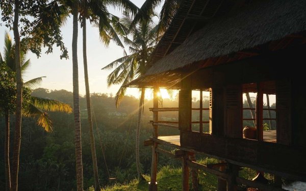 тропический дом